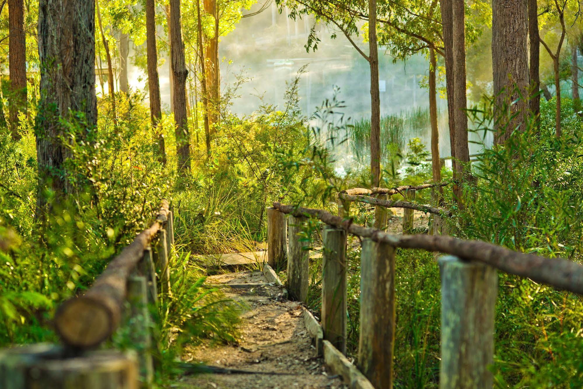 Kianinny Bush Cottages Tathra Bagian luar foto